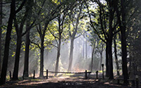 Fietsroute rond Vierhouten